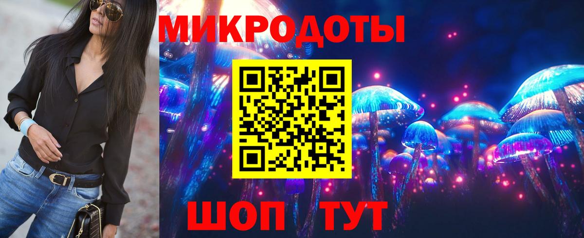 Сунжа  Галлюциногенные грибы Psilocybine cubensis  Вход с VPN 