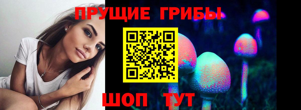 Галлюциногенные грибы прущие грибы Сунжа